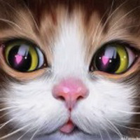 Гель лак Cat eyes 12D (котячі очі)